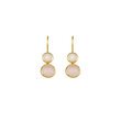 Bianc POSEY Earrings